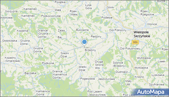 mapa Brzeziny, Brzeziny gmina Wielopole Skrzyńskie na mapie Targeo